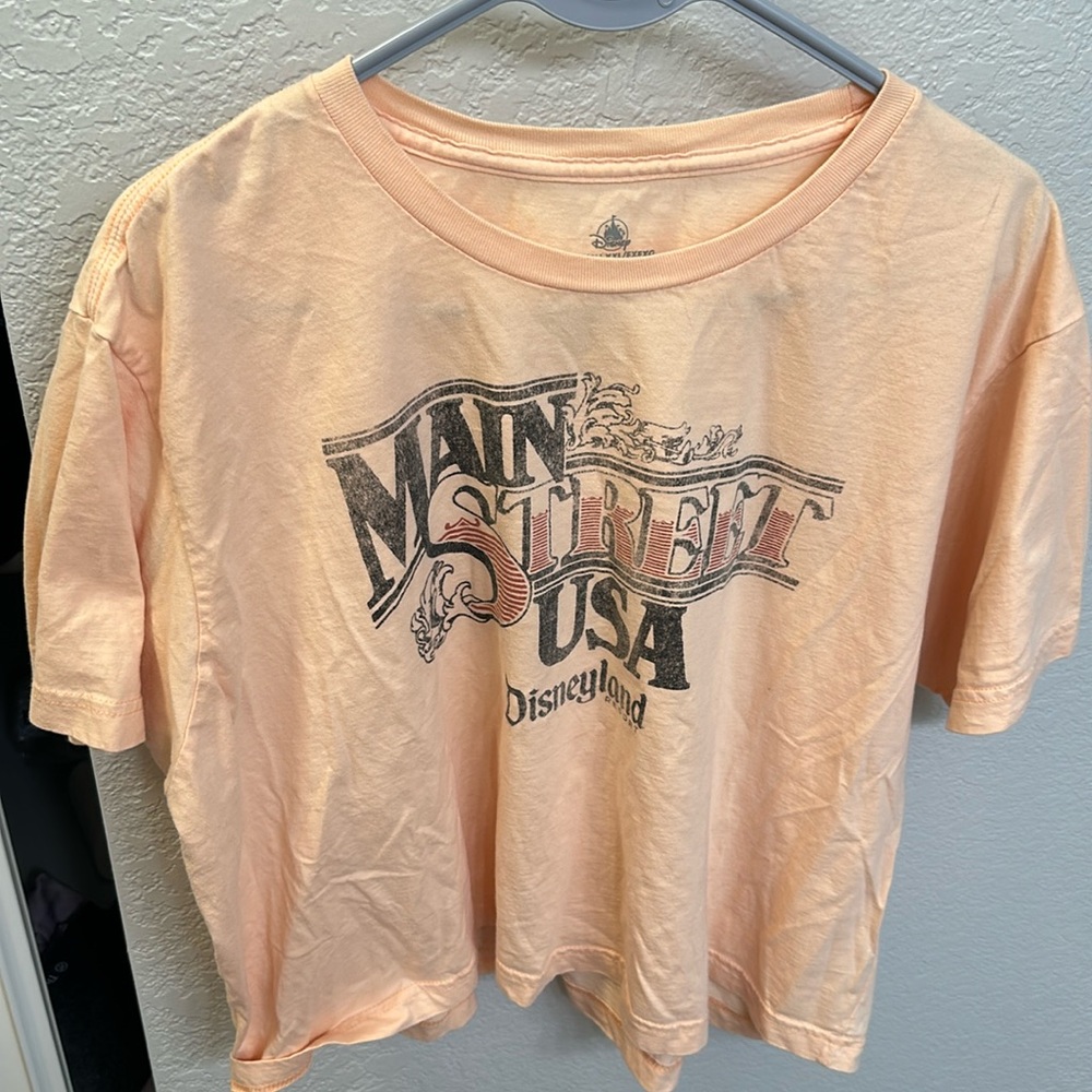 Disney Crop Top
